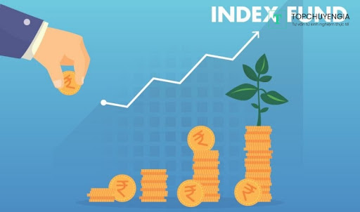 Đầu tư index fund là gì?